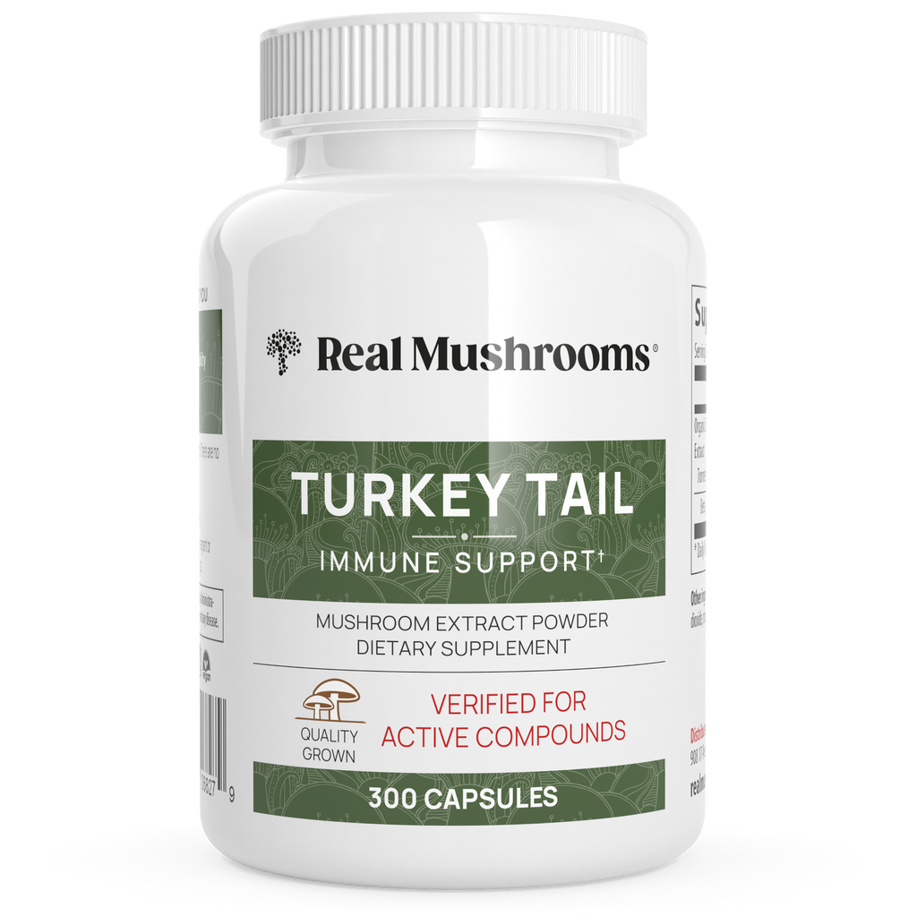 Real Mushrooms Turkey Tail Organic Mushroom Supplement 300 Caps